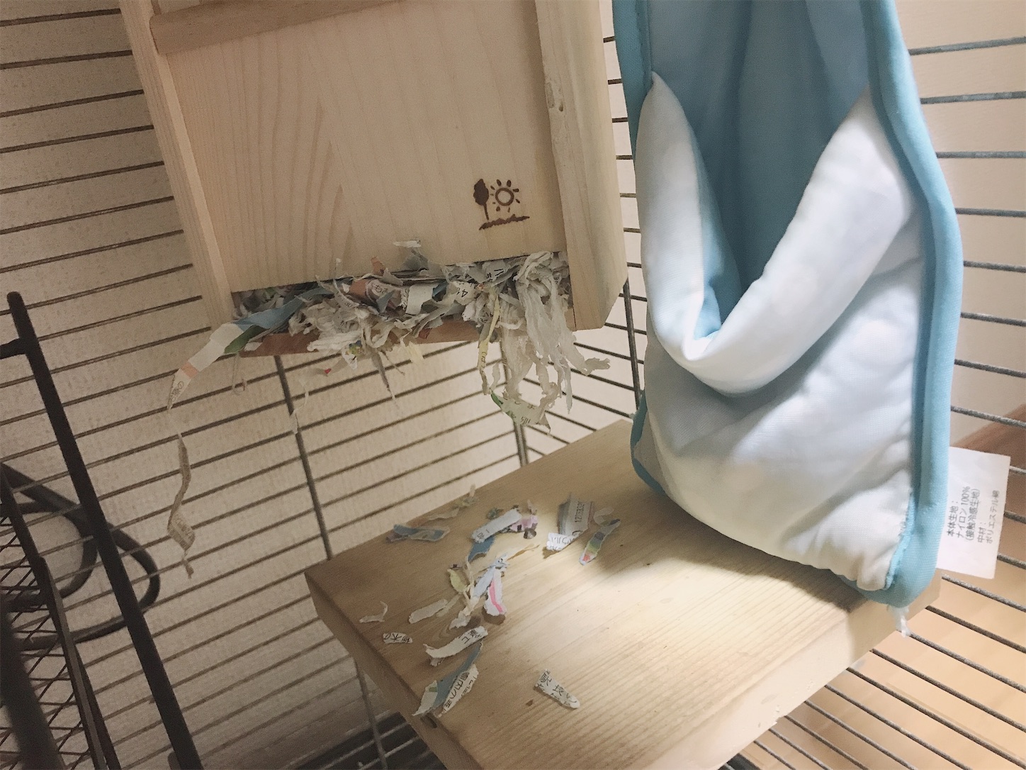 f:id:Alicetan:20190907194358j:image f:id:Alicetan:20190907194358j:image