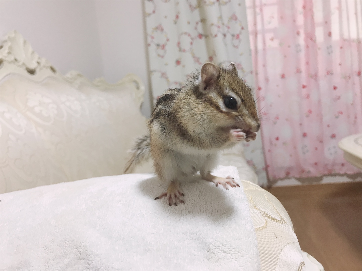 f:id:Alicetan:20190909185834j:image f:id:Alicetan:20190909185834j:image