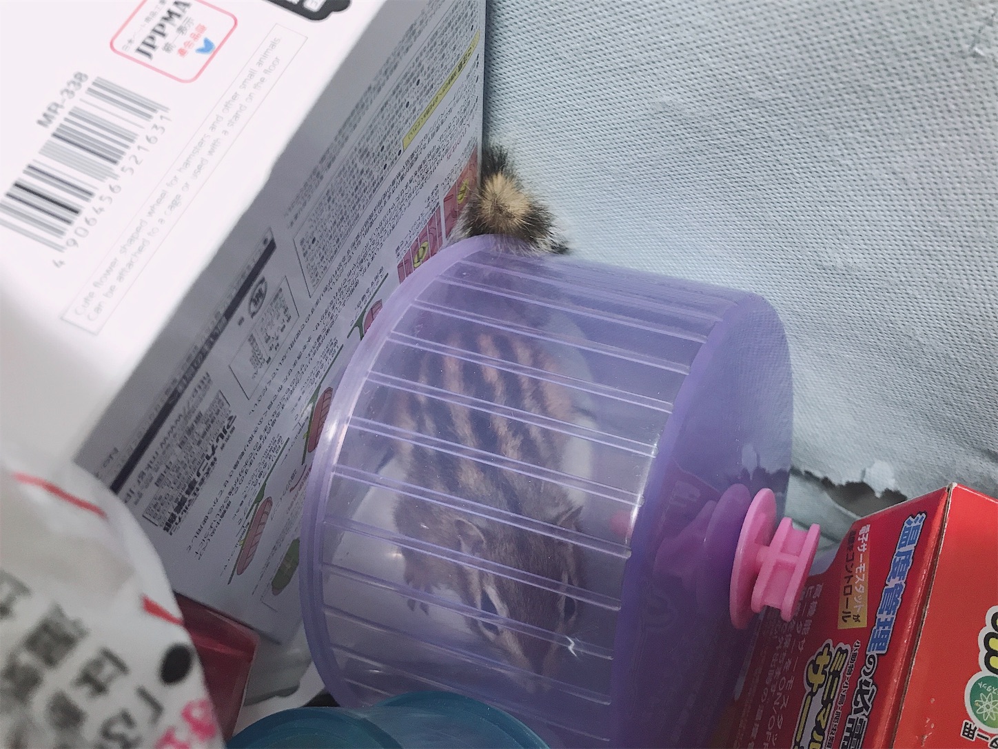 f:id:Alicetan:20190910205957j:image f:id:Alicetan:20190910205957j:image
