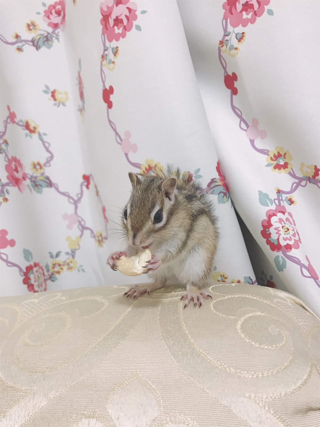 f:id:Alicetan:20190913175941j:image f:id:Alicetan:20190913175941j:image
