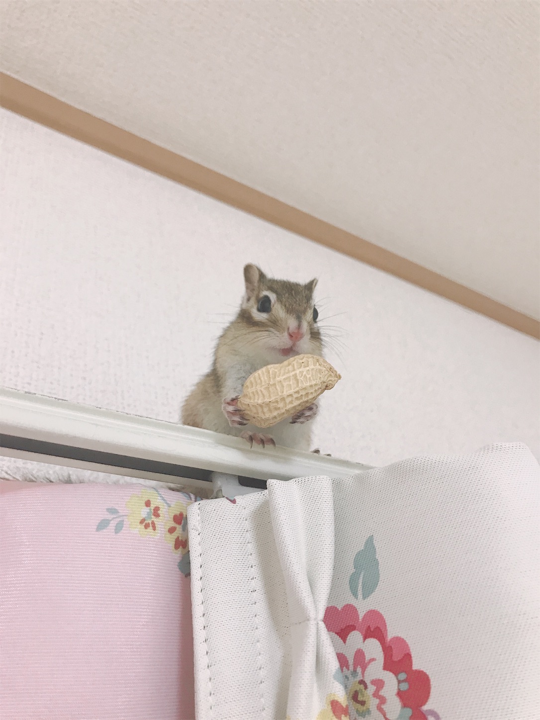 f:id:Alicetan:20190913180153j:image f:id:Alicetan:20190913180153j:image