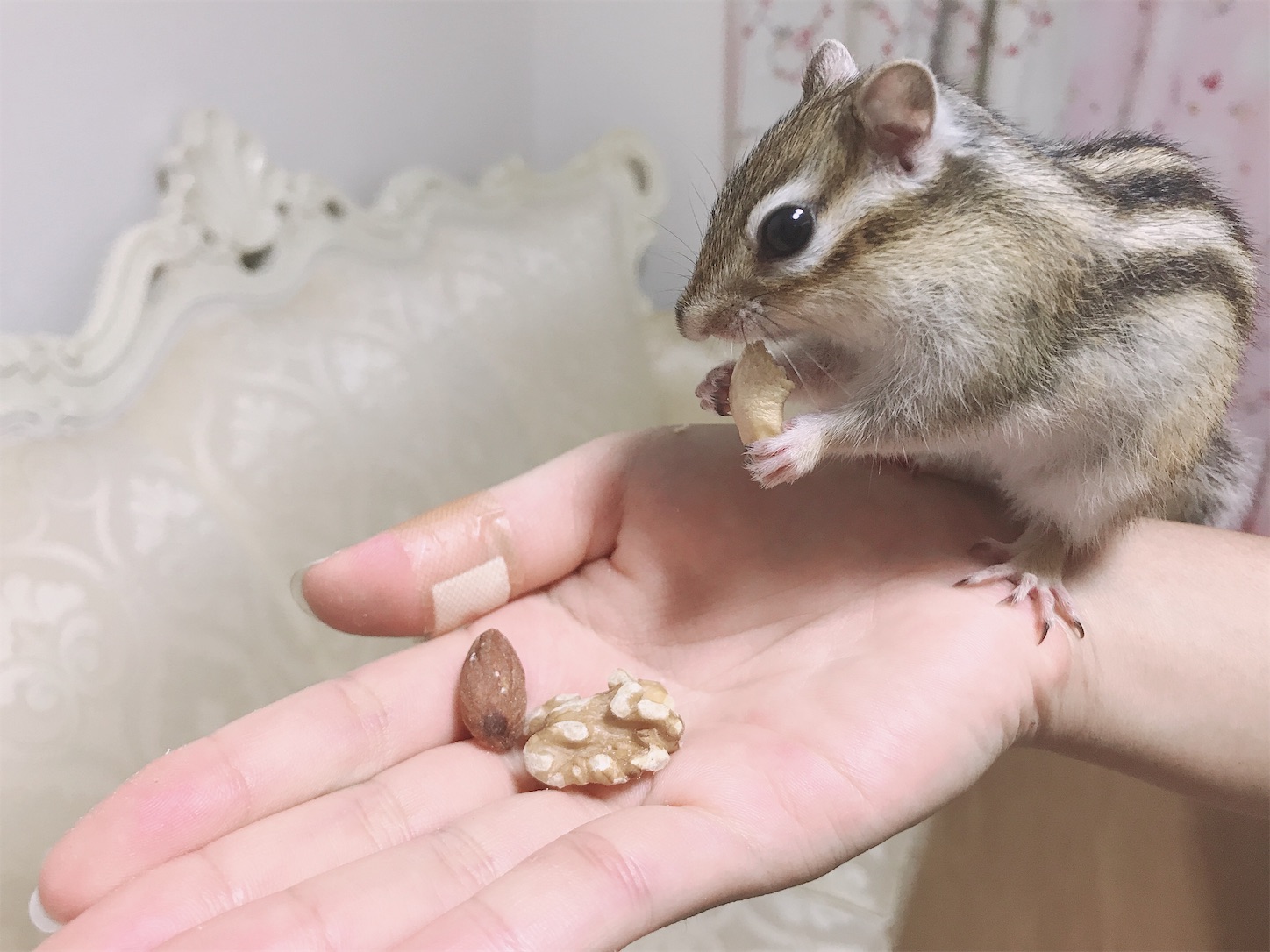 f:id:Alicetan:20190913180439j:image f:id:Alicetan:20190913180439j:image