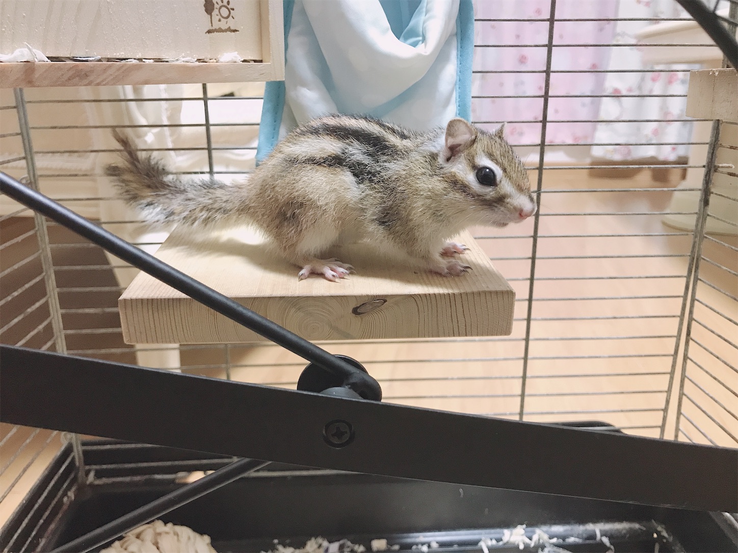 f:id:Alicetan:20190915095851j:image f:id:Alicetan:20190915095851j:image