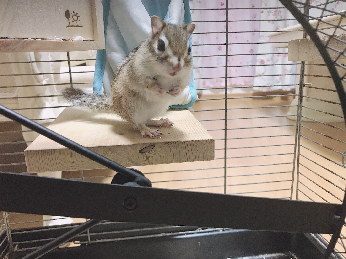 f:id:Alicetan:20190915095856j:image f:id:Alicetan:20190915095856j:image