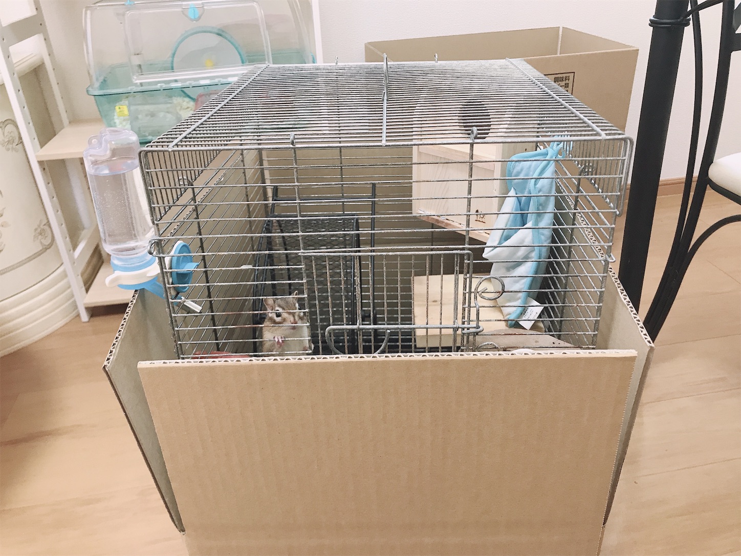 f:id:Alicetan:20190915115711j:image f:id:Alicetan:20190915115711j:image