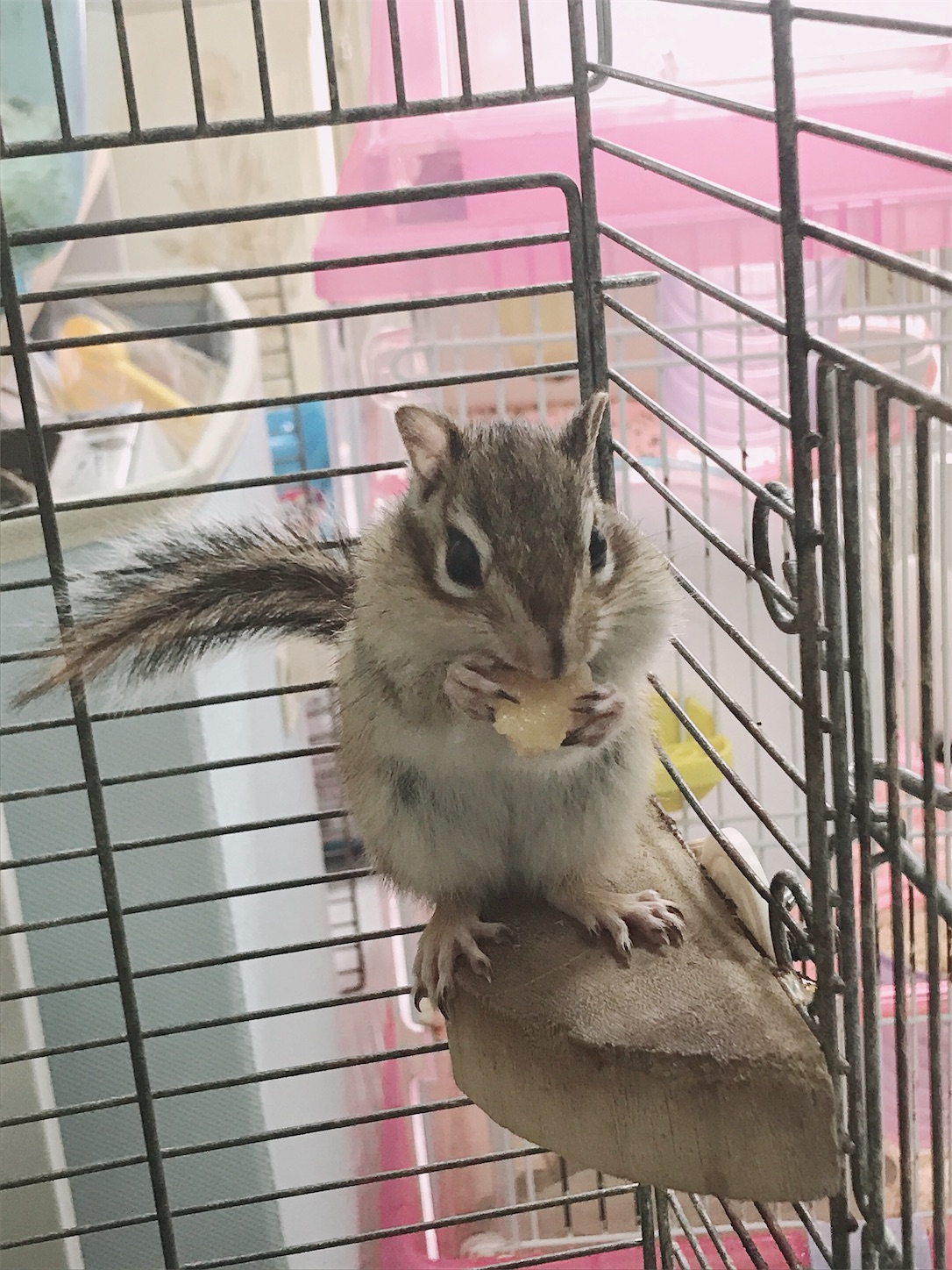f:id:Alicetan:20190930211245j:image f:id:Alicetan:20190930211245j:image