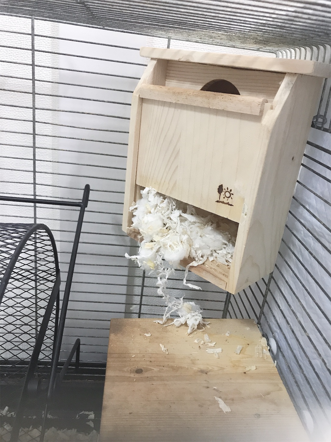 f:id:Alicetan:20191015202155j:image f:id:Alicetan:20191015202155j:image