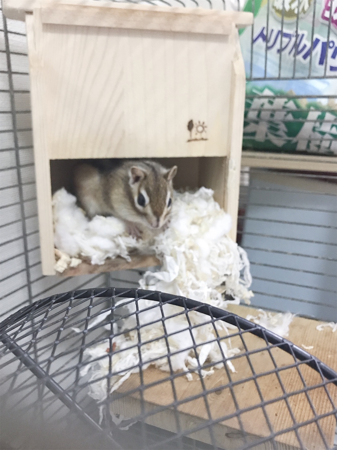 f:id:Alicetan:20191027080725j:image f:id:Alicetan:20191027080725j:image