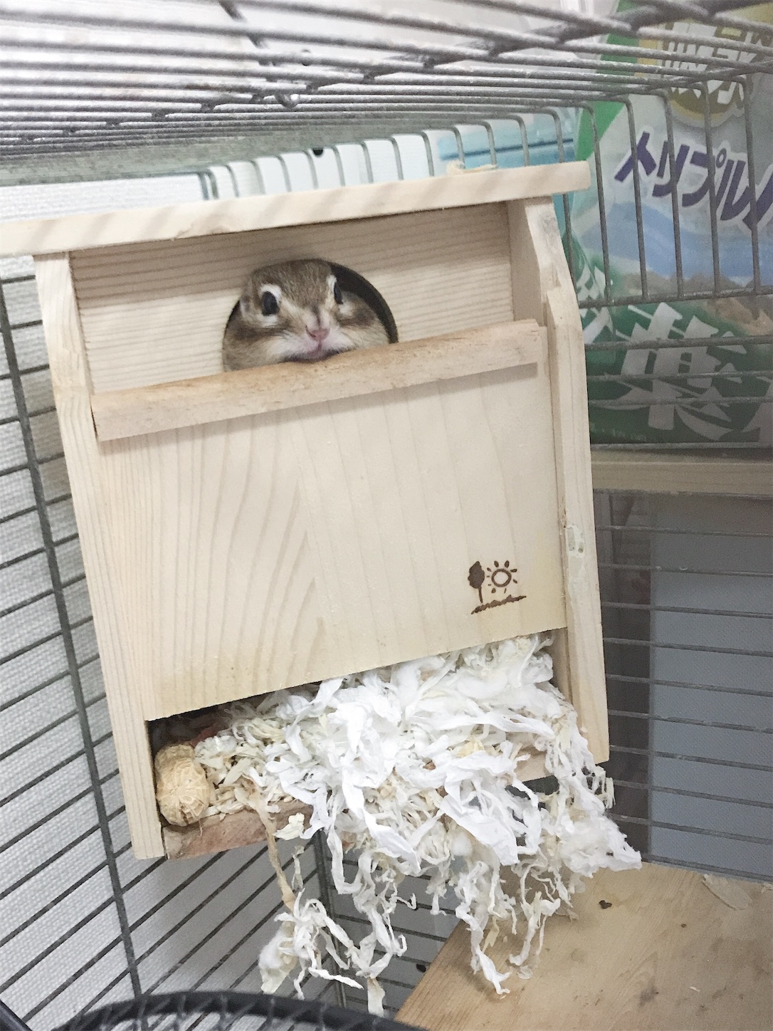f:id:Alicetan:20191027080802j:image f:id:Alicetan:20191027080802j:image