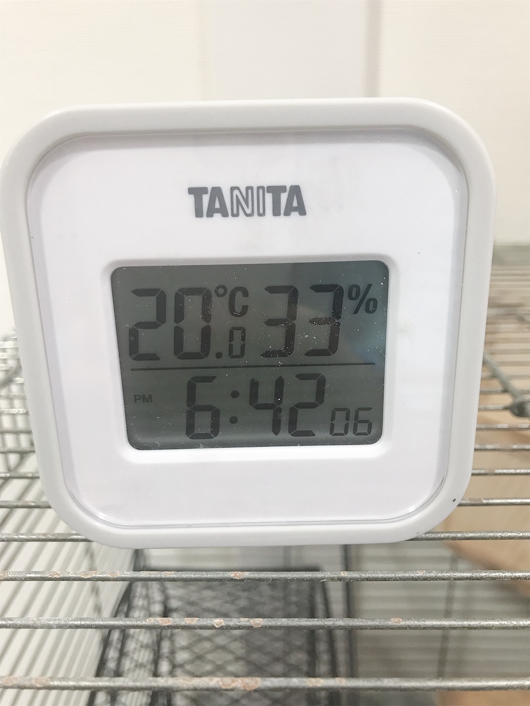 f:id:Alicetan:20191120184451j:image f:id:Alicetan:20191120184451j:image