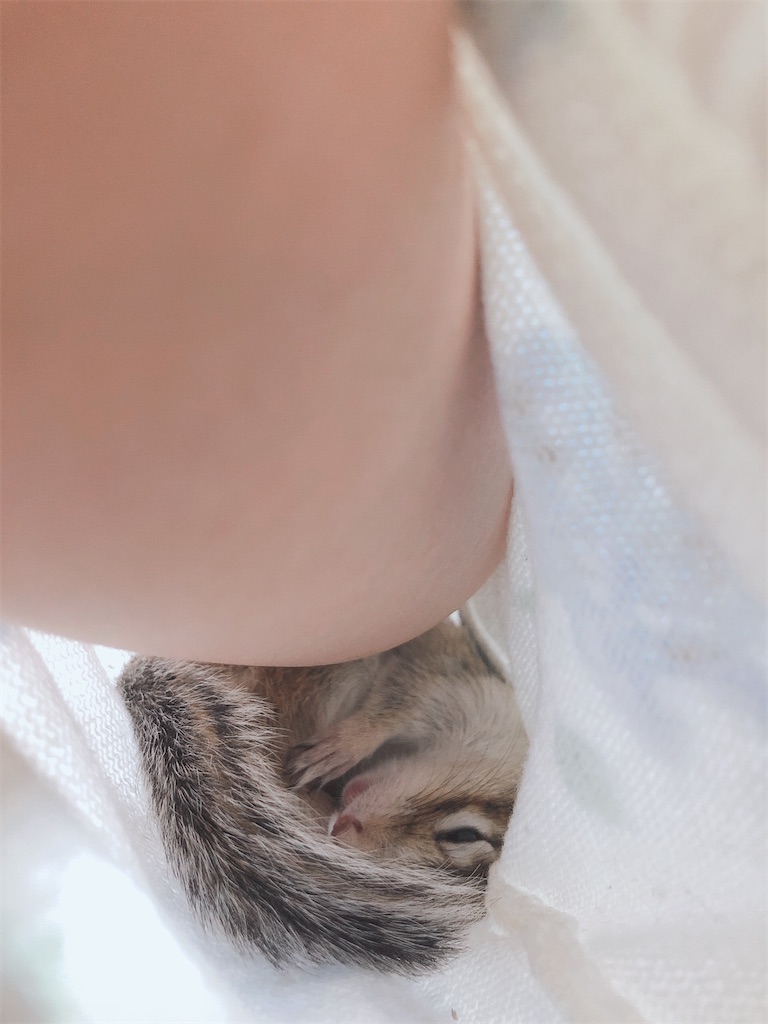 f:id:Alicetan:20200423175019j:image f:id:Alicetan:20200423175019j:image