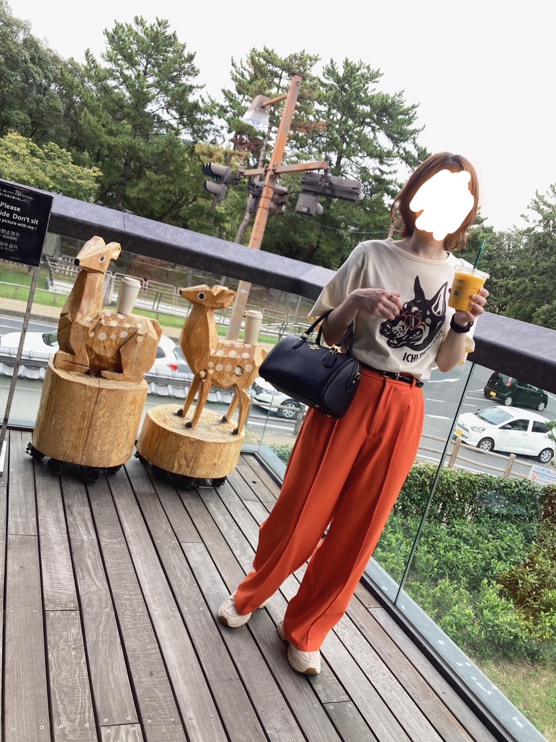 f:id:Alisa_diary:20230830211357j:image f:id:Alisa_diary:20230830211357j:image