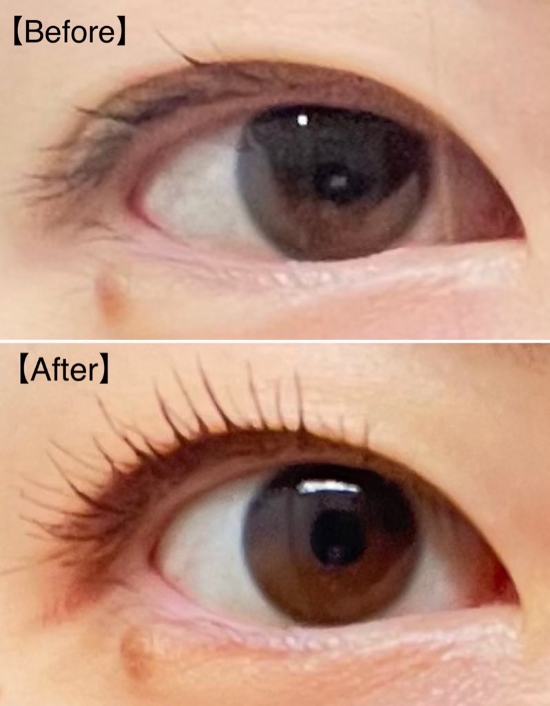 f:id:Alisa_diary:20231106235838j:image