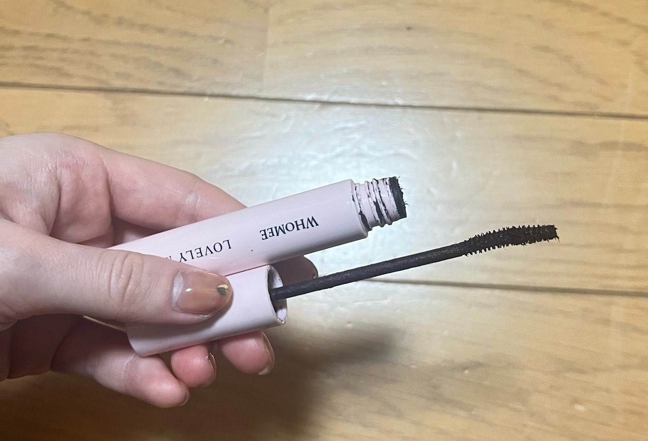 f:id:Alisa_diary:20231107163516j:image