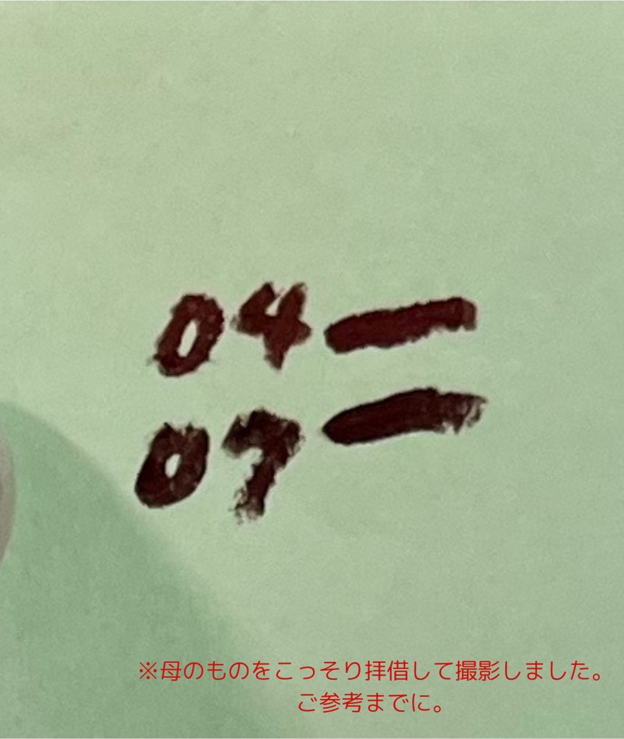 f:id:Alisa_diary:20240229140959j:image
