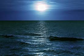f:id:AllON:20201107195317j:plain f:id:AllON:20201107195317j:plain