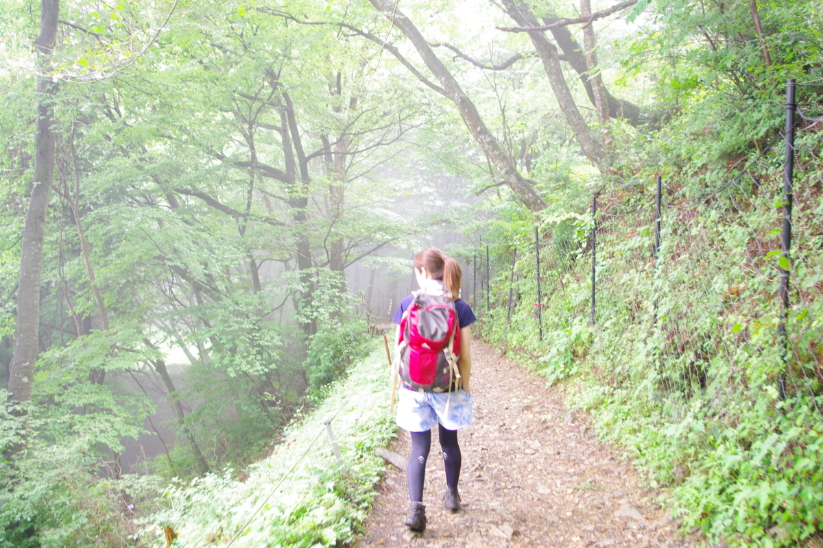 f:id:AlleinAdler:20190505172046j:plain