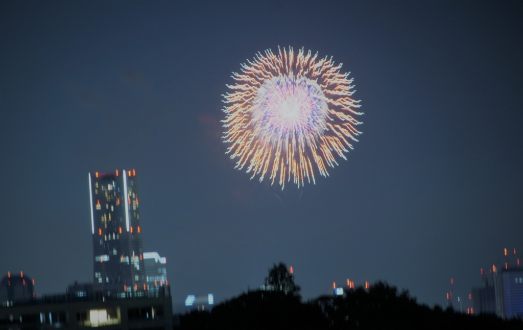 f:id:Alloutrun:20180602201131j:plain:w300