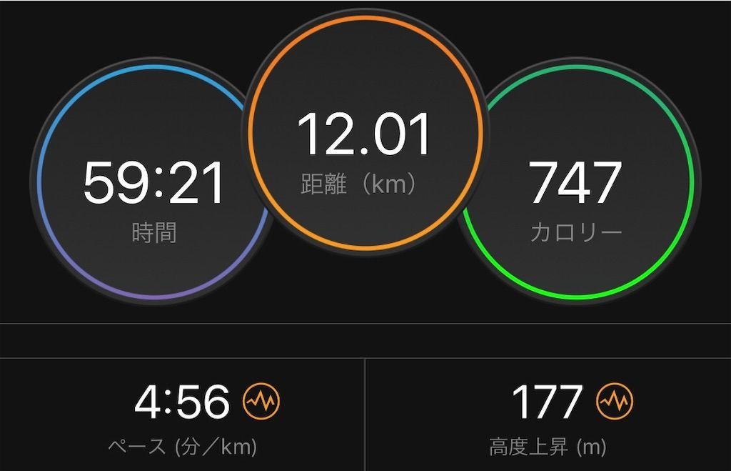 f:id:Alloutrun:20190112074244j:image f:id:Alloutrun:20190112074244j:image