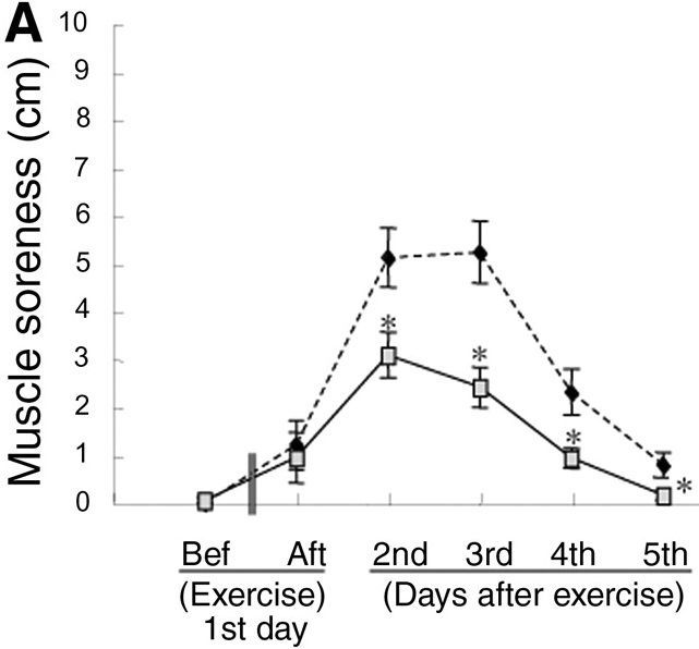 Bcaaの効果と摂取タイミング 3人娘の親父が走る いつだって全力中年