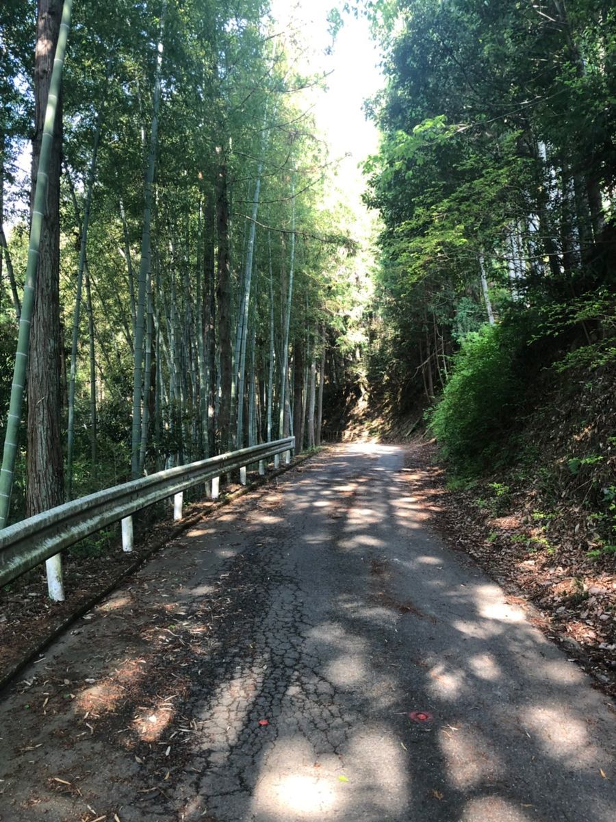 f:id:Alloutrun:20190505200434j:plain f:id:Alloutrun:20190505200434j:plain