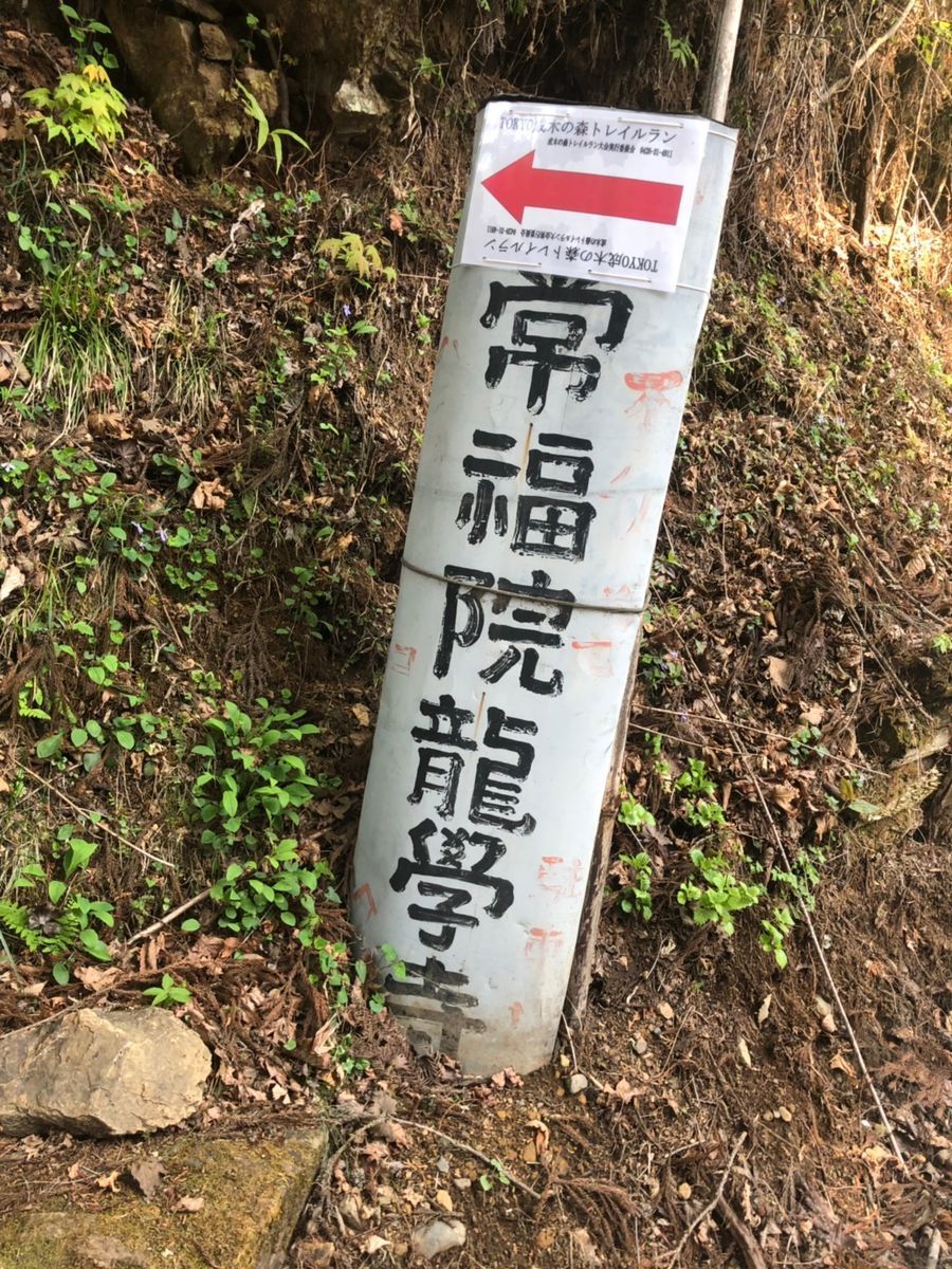 f:id:Alloutrun:20190505200801j:plain f:id:Alloutrun:20190505200801j:plain