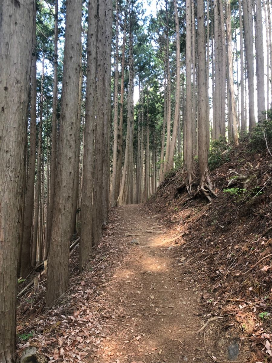 f:id:Alloutrun:20190505201611j:plain f:id:Alloutrun:20190505201611j:plain