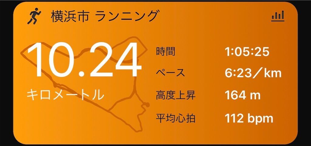 f:id:Alloutrun:20190528221439j:plain
