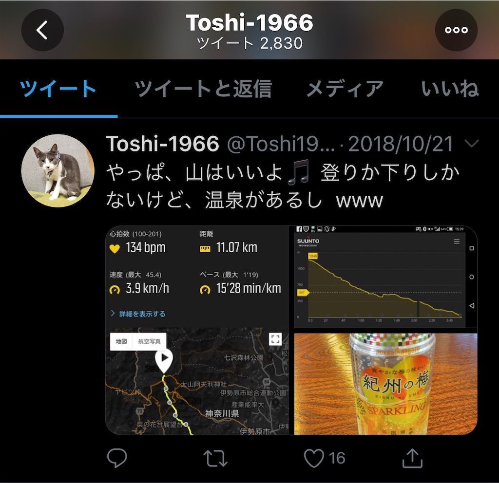 f:id:Alloutrun:20190801214248j:plain
