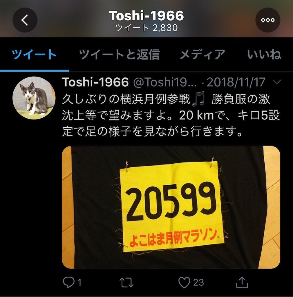f:id:Alloutrun:20190801214338j:plain
