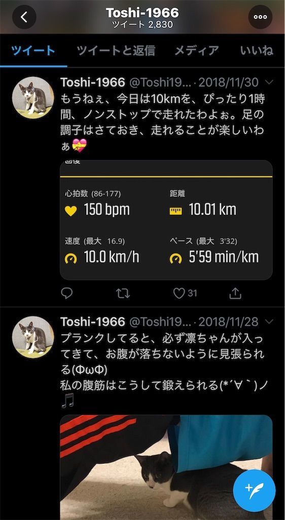 f:id:Alloutrun:20190801214400j:plain