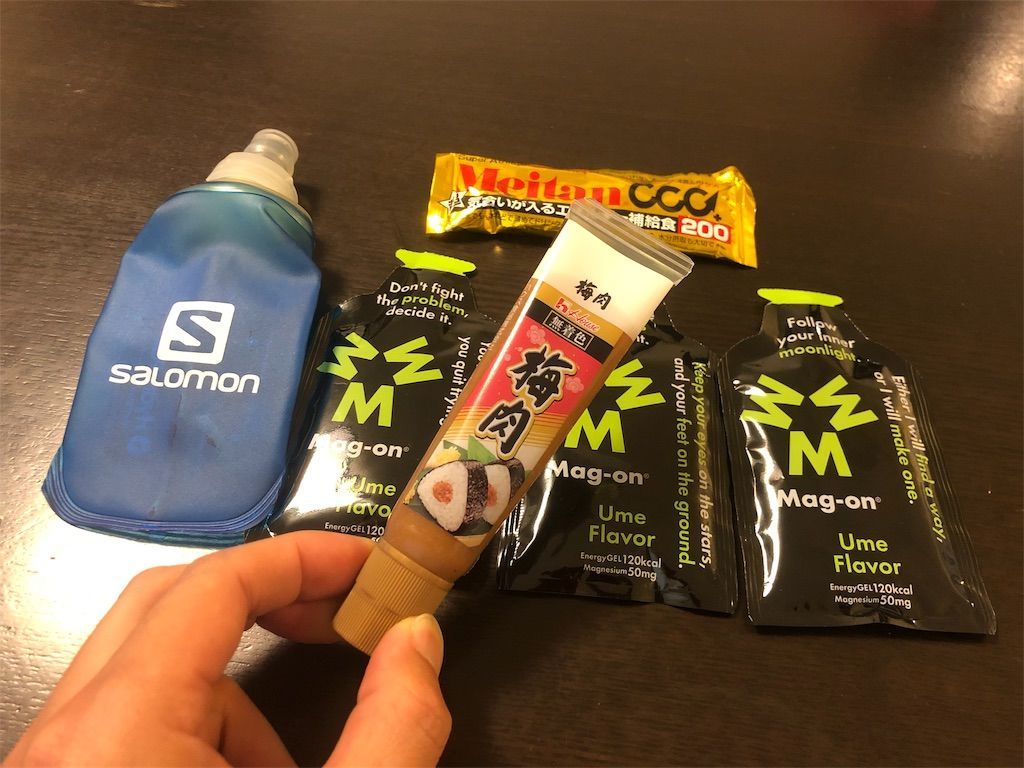 f:id:Alloutrun:20191109163918j:plain