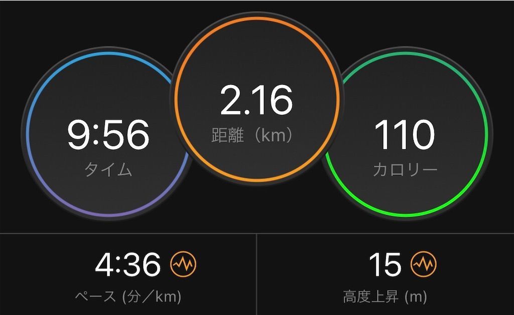 f:id:Alloutrun:20201214174543j:plain