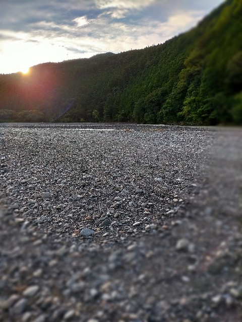 f:id:AlohaGerman:20210811095336j:image