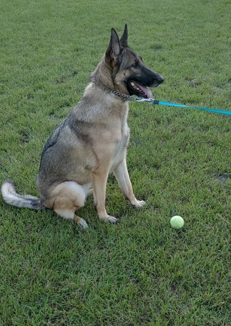 f:id:AlohaGerman:20210830192636j:image