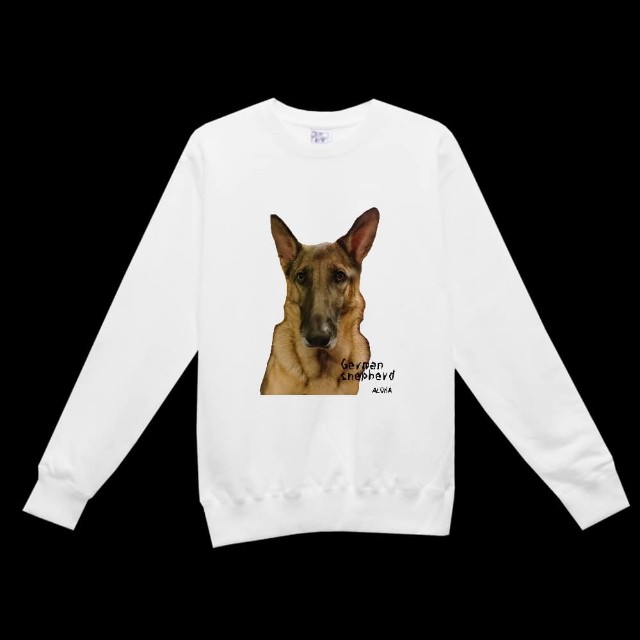 f:id:AlohaGerman:20211023163934j:image