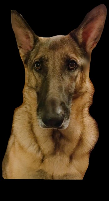 f:id:AlohaGerman:20211023163957j:image