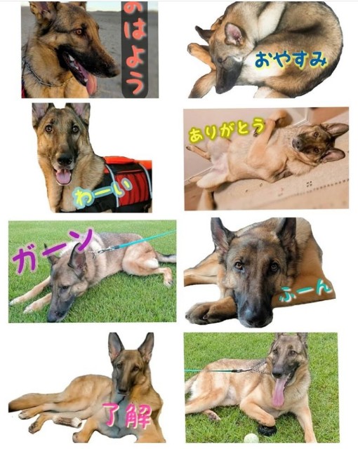 f:id:AlohaGerman:20211023164212j:image