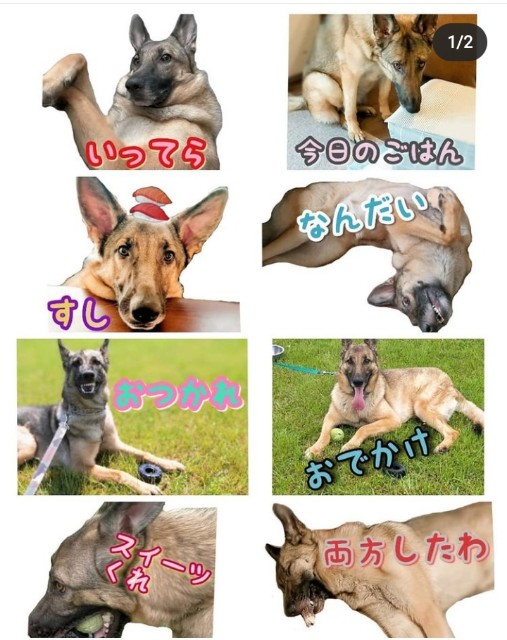 f:id:AlohaGerman:20211023164219j:image