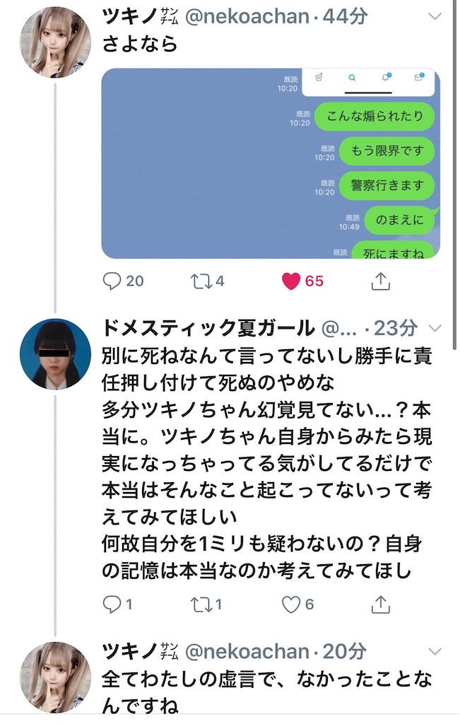 f:id:Alprazolaminc:20201003014739j:image