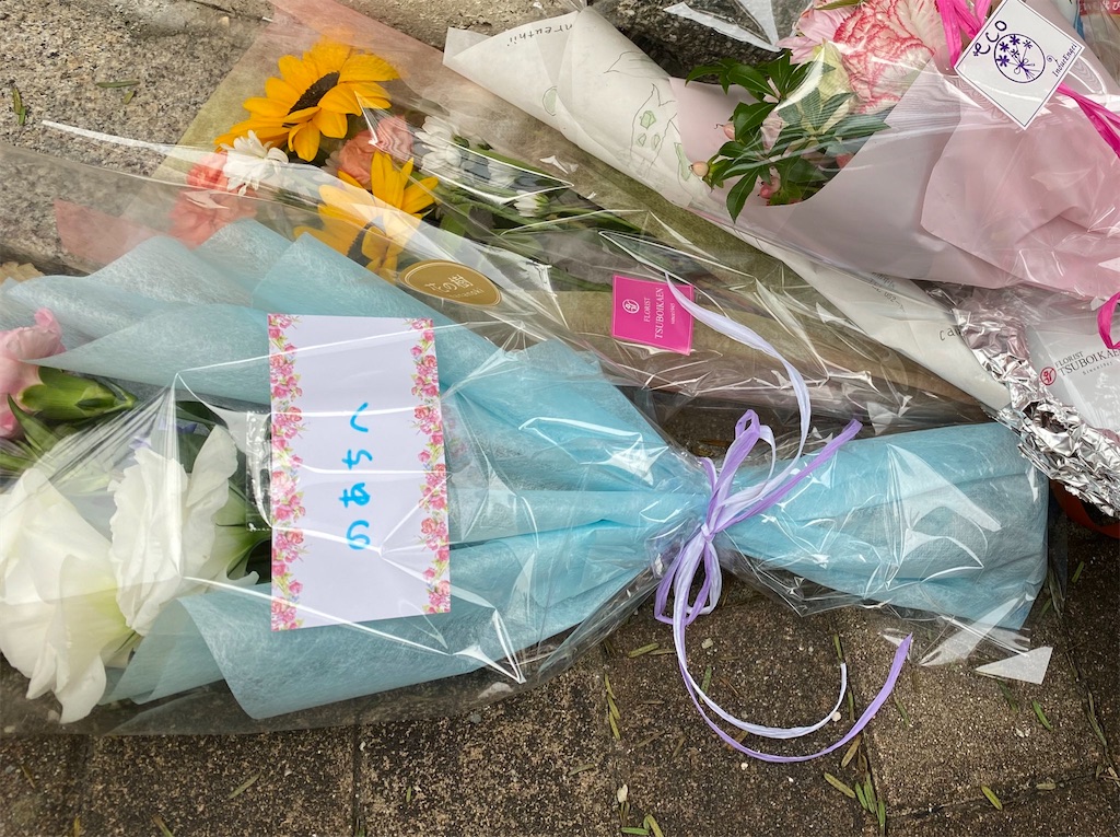 f:id:Alprazolaminc:20201006224822j:image