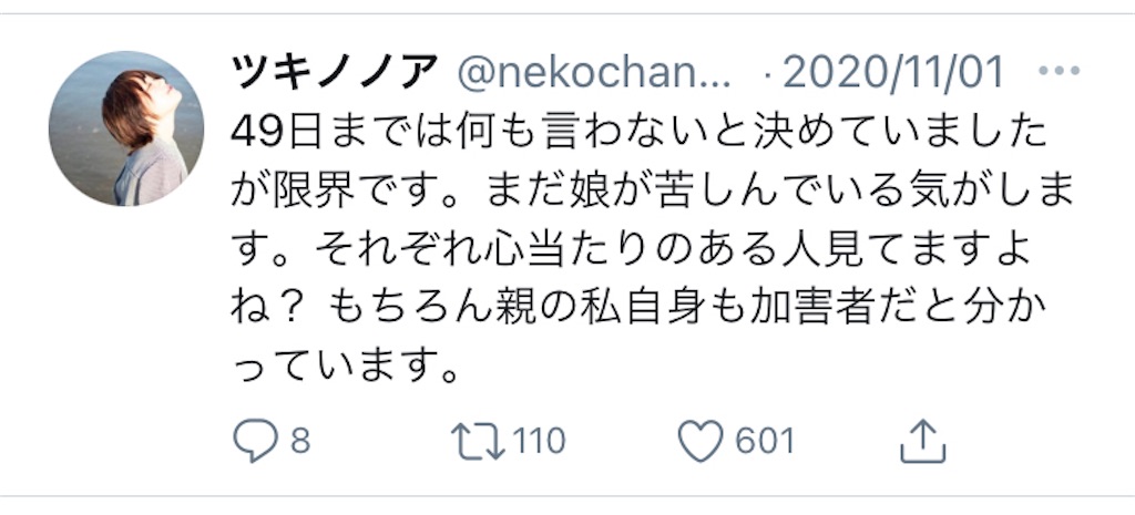 f:id:Alprazolaminc:20201117232439j:image