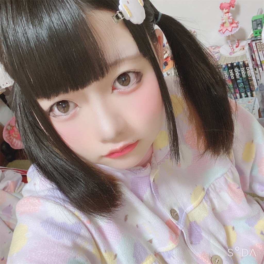 f:id:Alprazolaminc:20201231121025j:image