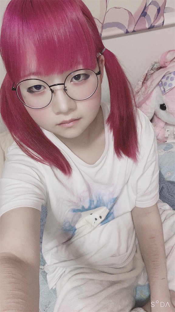 f:id:Alprazolaminc:20201231121037j:image