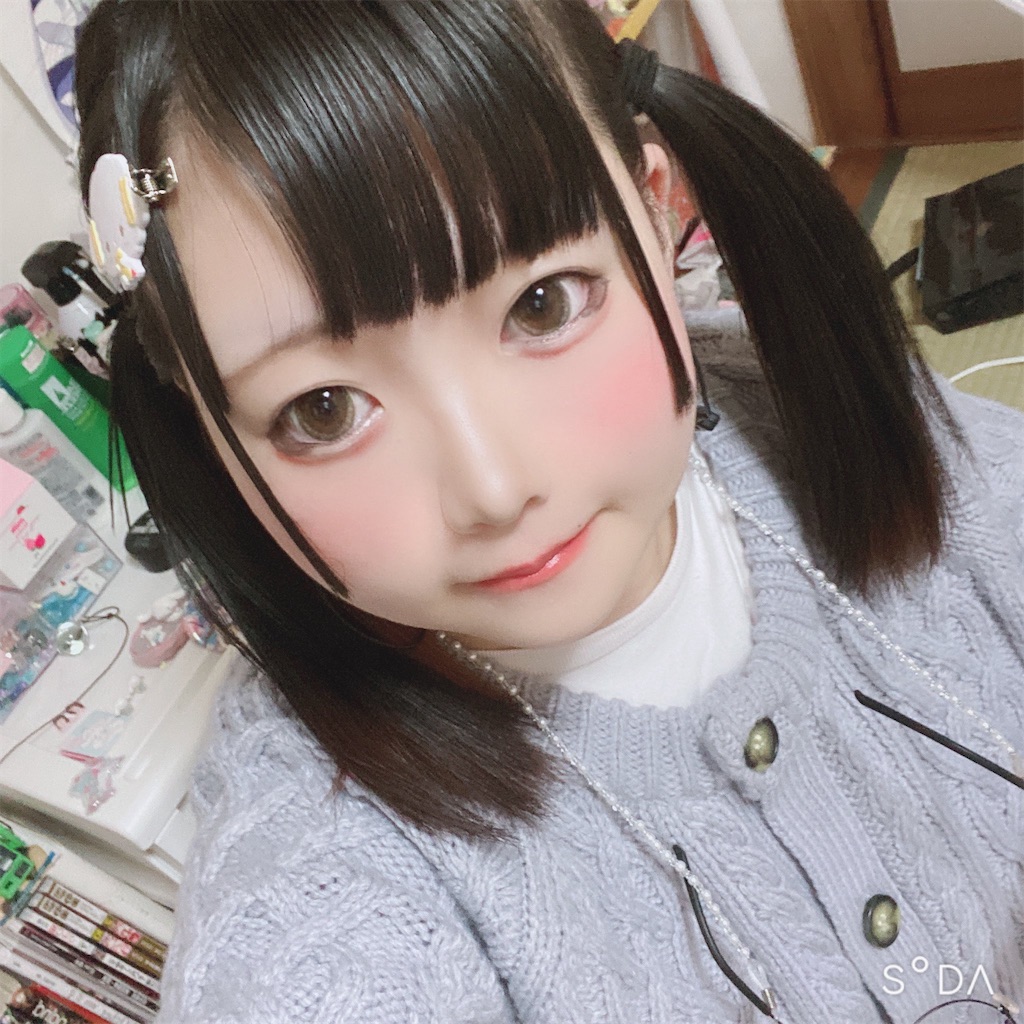 f:id:Alprazolaminc:20201231121054j:image