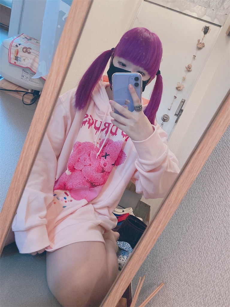 f:id:Alprazolaminc:20201231121110j:image