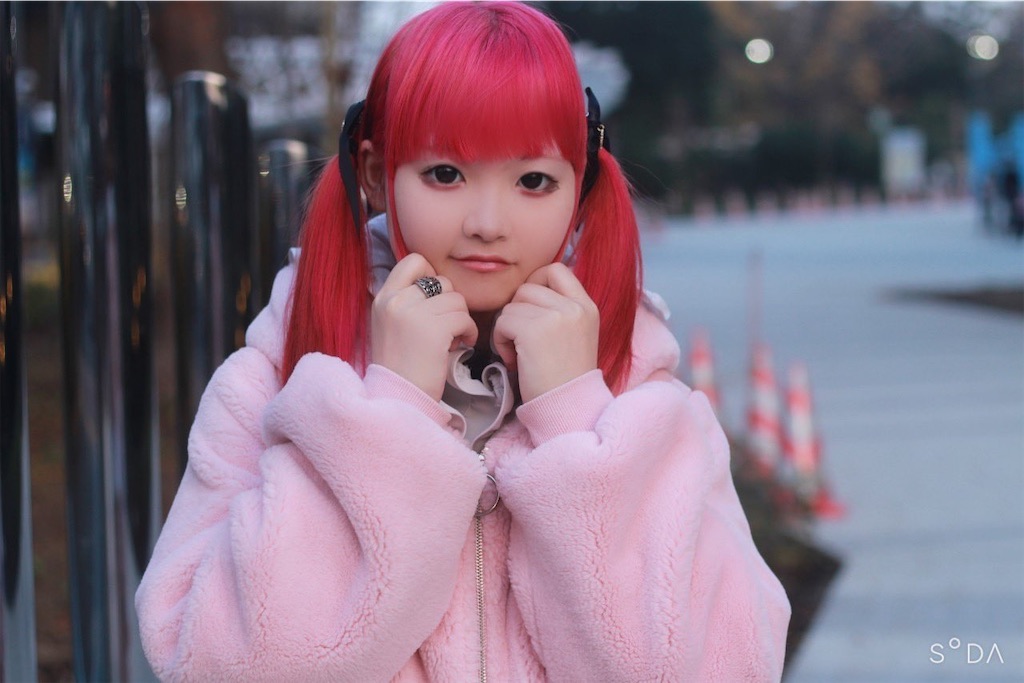 f:id:Alprazolaminc:20201231121129j:image