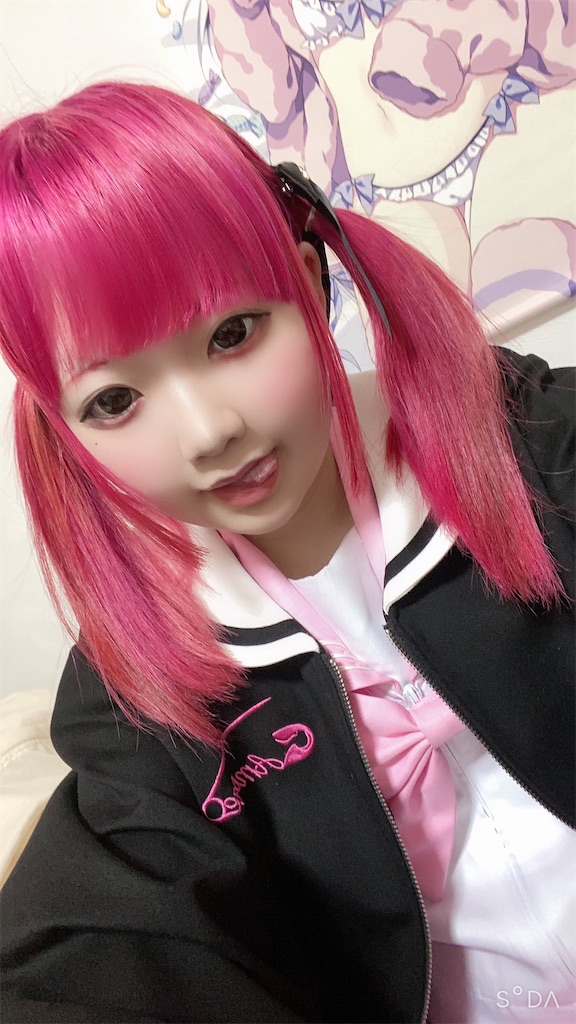 f:id:Alprazolaminc:20201231121214j:image