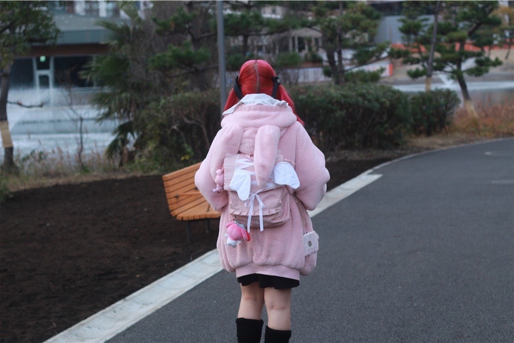 f:id:Alprazolaminc:20201231121219j:image