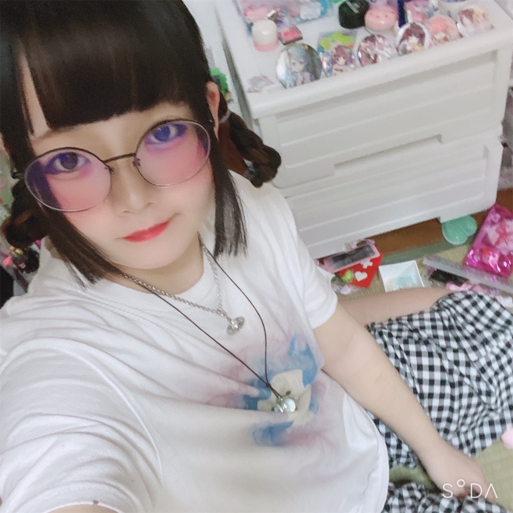 f:id:Alprazolaminc:20201231121313j:image